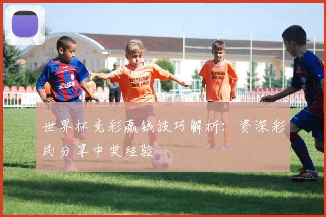世界杯竞彩赢钱技巧解析:资深彩民分享中奖经验