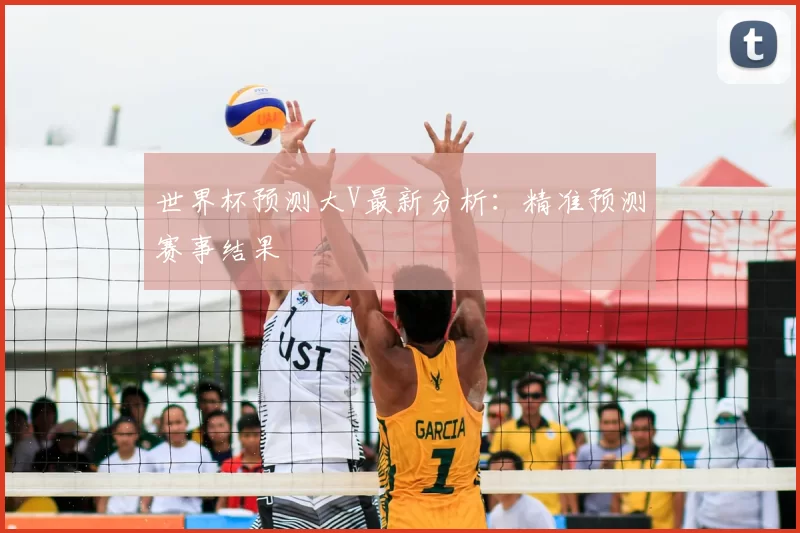 世界杯预测大V最新分析:精准预测赛事结果