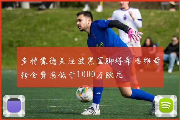 多特蒙德关注波黑国脚塔希洛维奇转会费或低于1000万欧元