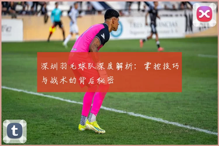 深圳羽毛球队深度解析:掌控技巧与战术的背后秘密