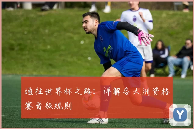 通往世界杯之路:详解各大洲资格赛晋级规则
