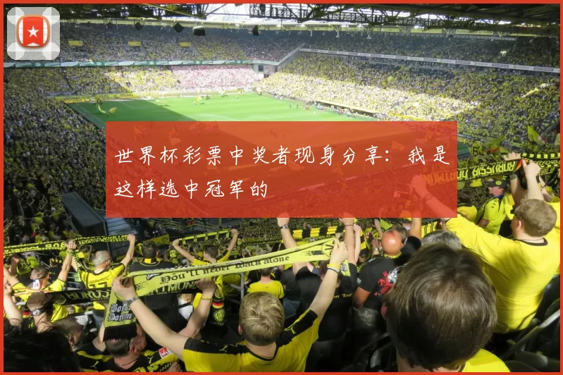 世界杯彩票中奖者现身分享:我是这样选中冠军的