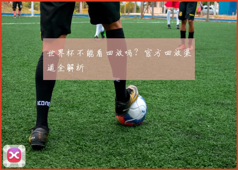 世界杯不能看回放吗?官方回放渠道全解析