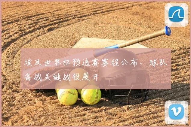 埃及世界杯预选赛赛程公布，球队备战关键战役展开