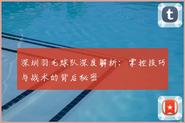 深圳羽毛球队深度解析:掌控技巧与战术的背后秘密