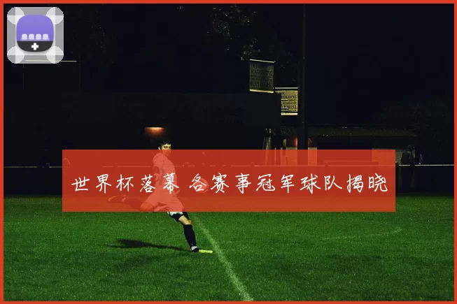 世界杯落幕 各赛事冠军球队揭晓