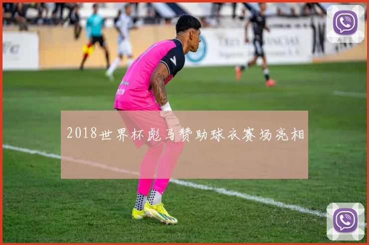 2018世界杯彪马赞助球衣赛场亮相