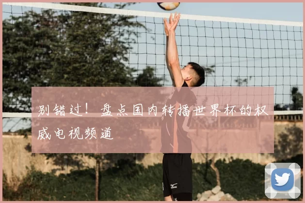 别错过！盘点国内转播世界杯的权威电视频道