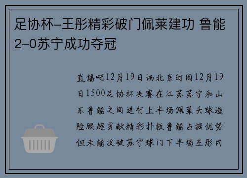 足协杯-王彤精彩破门佩莱建功 鲁能2-0苏宁成功夺冠